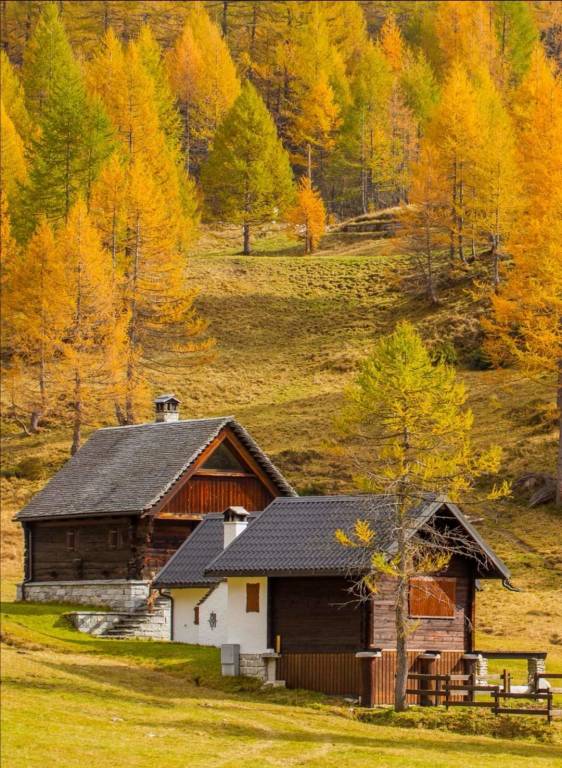 I colori dell'autunno all'Alpe Devero