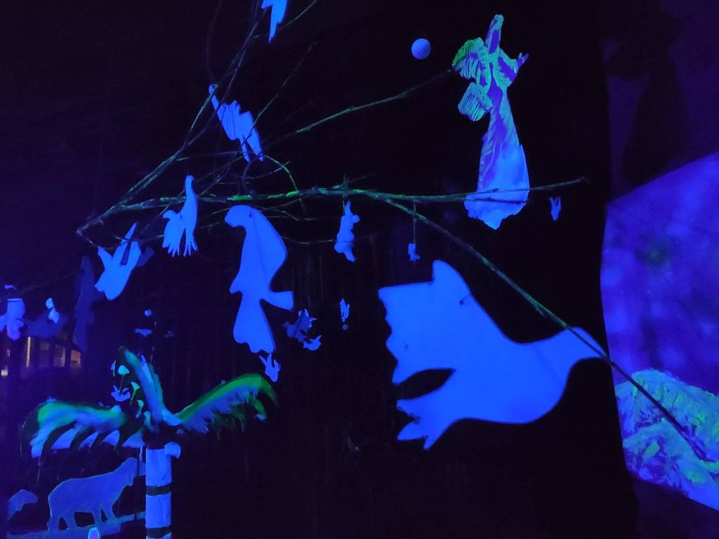 Il presepe illuminato di Sesona risplende aspettando il Natale