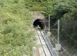 Mornago generica generiche