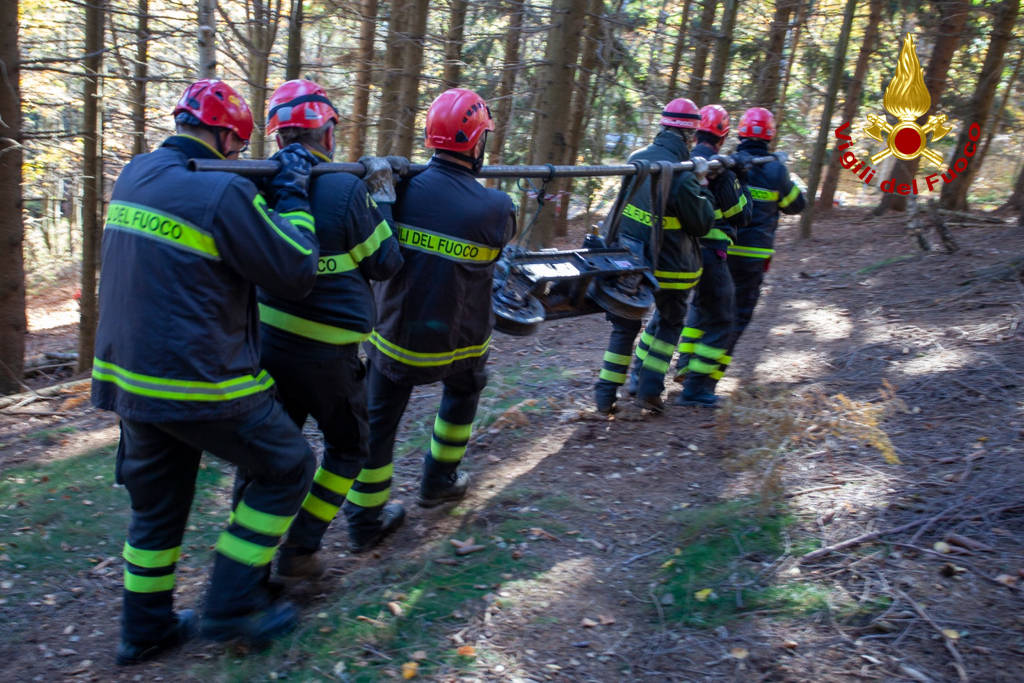 Rimozione della funivia al Mottarone