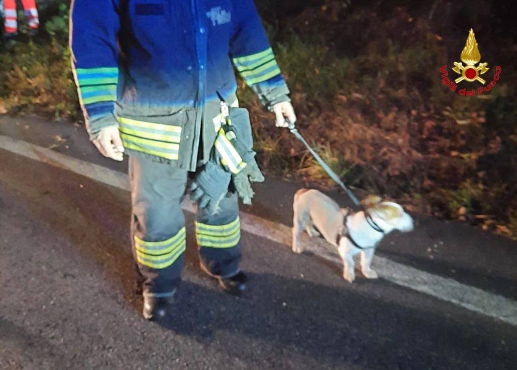 Scontro nella notte a Germignaga, tre feriti. I vigili del fuoco salvano anche un cagnolino