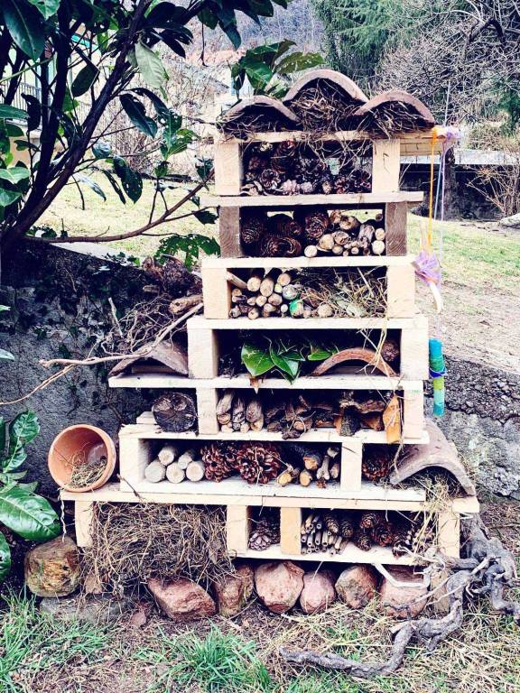 Scuola dell'infanzia Il Bosco verde