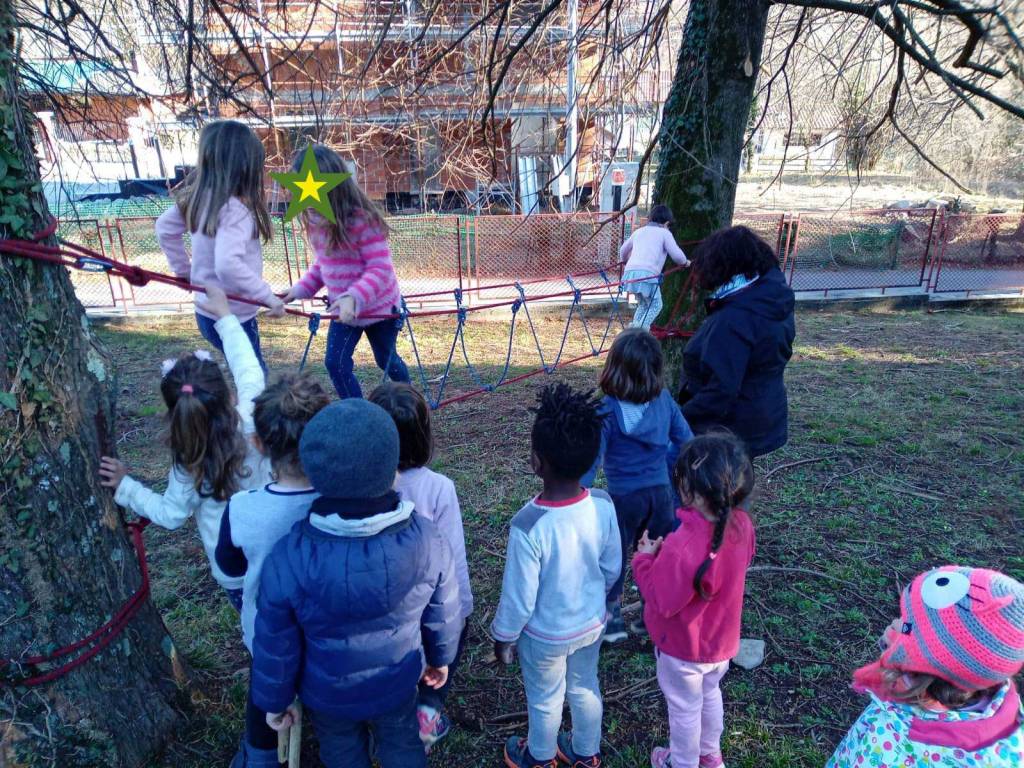 Scuola dell'infanzia Il Bosco verde