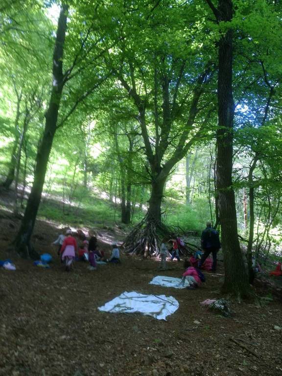 Scuola dell'infanzia Il Bosco verde