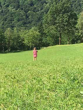 Scuola dell'infanzia Il Bosco verde