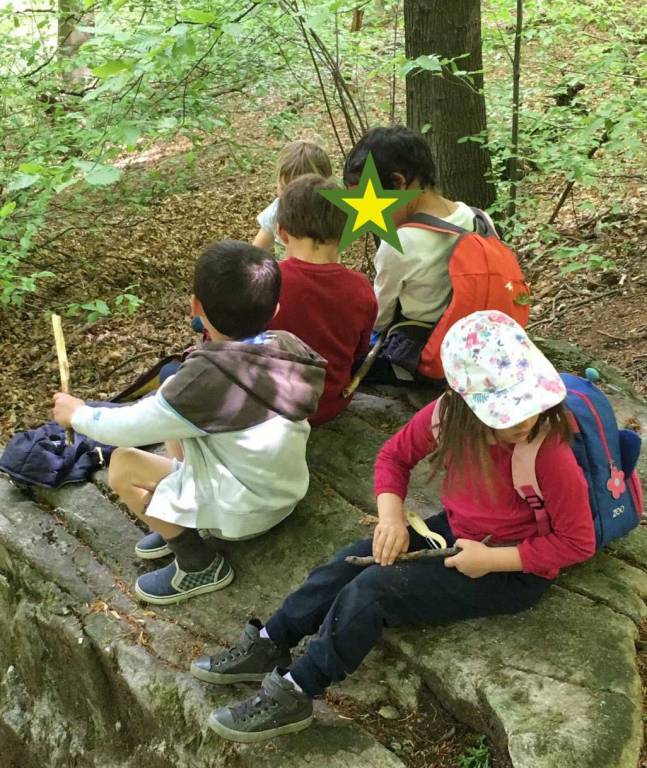 Scuola dell'infanzia Il Bosco verde
