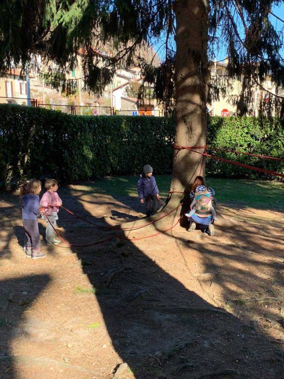 Scuola dell'infanzia Il Bosco verde