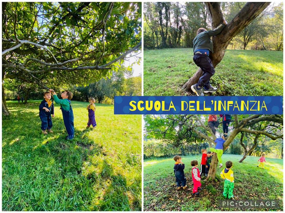 Scuola dell'infanzia Il Bosco verde