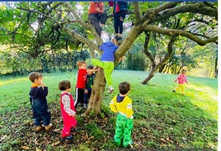 Scuola dell'infanzia Il Bosco verde