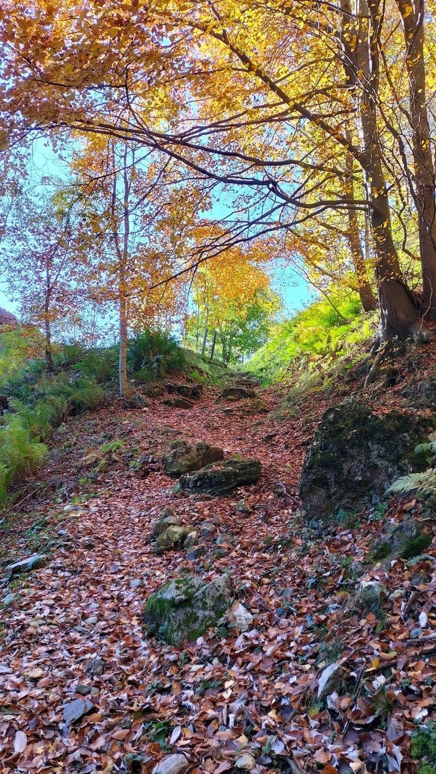 Tra le meraviglie della ValGrande 