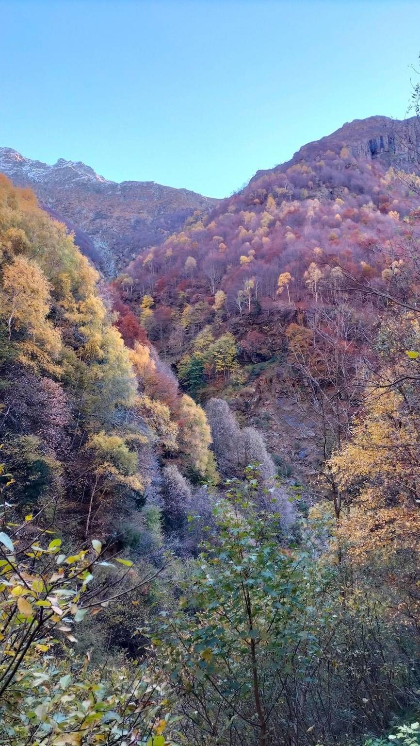 Tra le meraviglie della ValGrande 