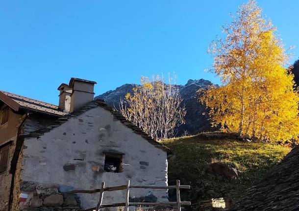 Tra le meraviglie della Val Grande