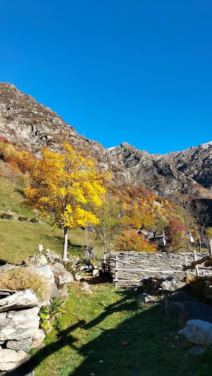 Tra le meraviglie della ValGrande 
