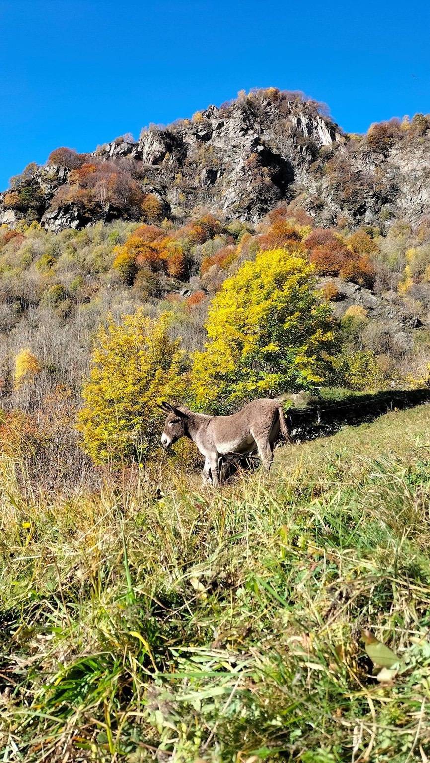 Tra le meraviglie della ValGrande 
