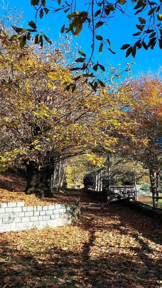 Tra le meraviglie della ValGrande 