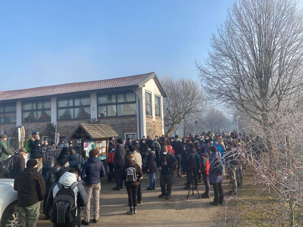 Bioblitz alla brughiera di Lonate Pozzolo