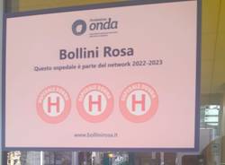 bollini rosa asst sette laghi