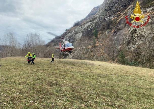 I Vigili del fuoco salvano in elicottero un cane smarrito sul Mottarone