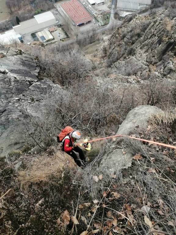 I Vigili del fuoco salvano in elicottero un cane smarrito sul Mottarone