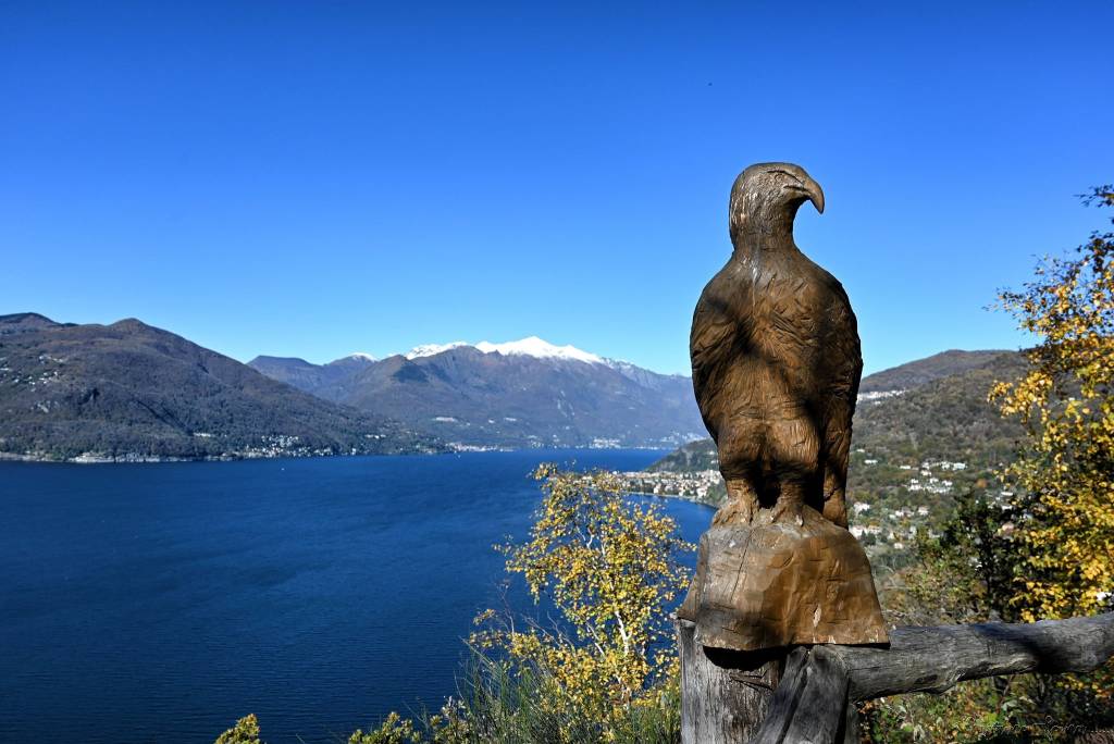 lago maggiore - marino foina