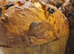 Le proposte natalizie del panificio pasticceria Baviello