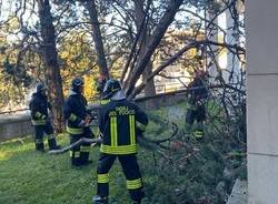 albero caduto cimitero laveno mobello