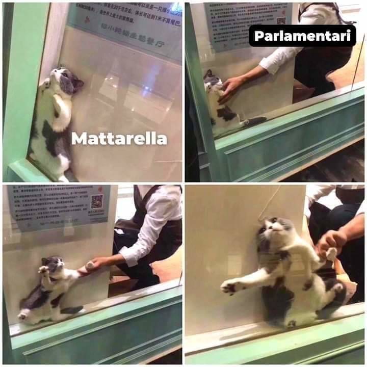 I migliori meme sul Mattarella bis