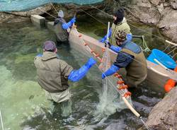 pescatori Alto Verbano