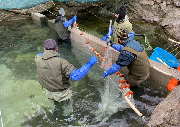 pescatori Alto Verbano