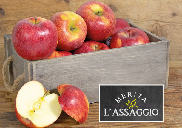 Con l’anno nuovo tutti più buoni, specialmente i Prodotti del Mese TIGROS