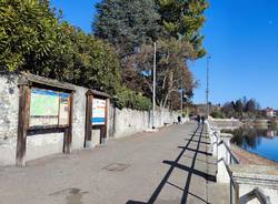 alzaia mattea - sesto calende