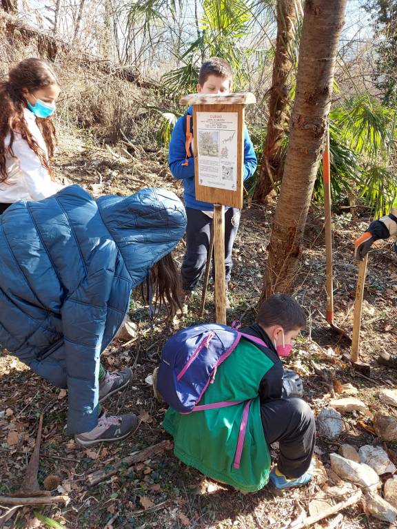 Caravate: inaugurato il sentiero del bosco didattico \"Pancott\"