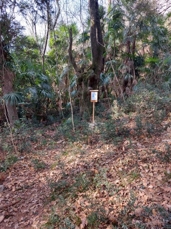 Caravate: inaugurato il sentiero del bosco didattico \"Pancott\"