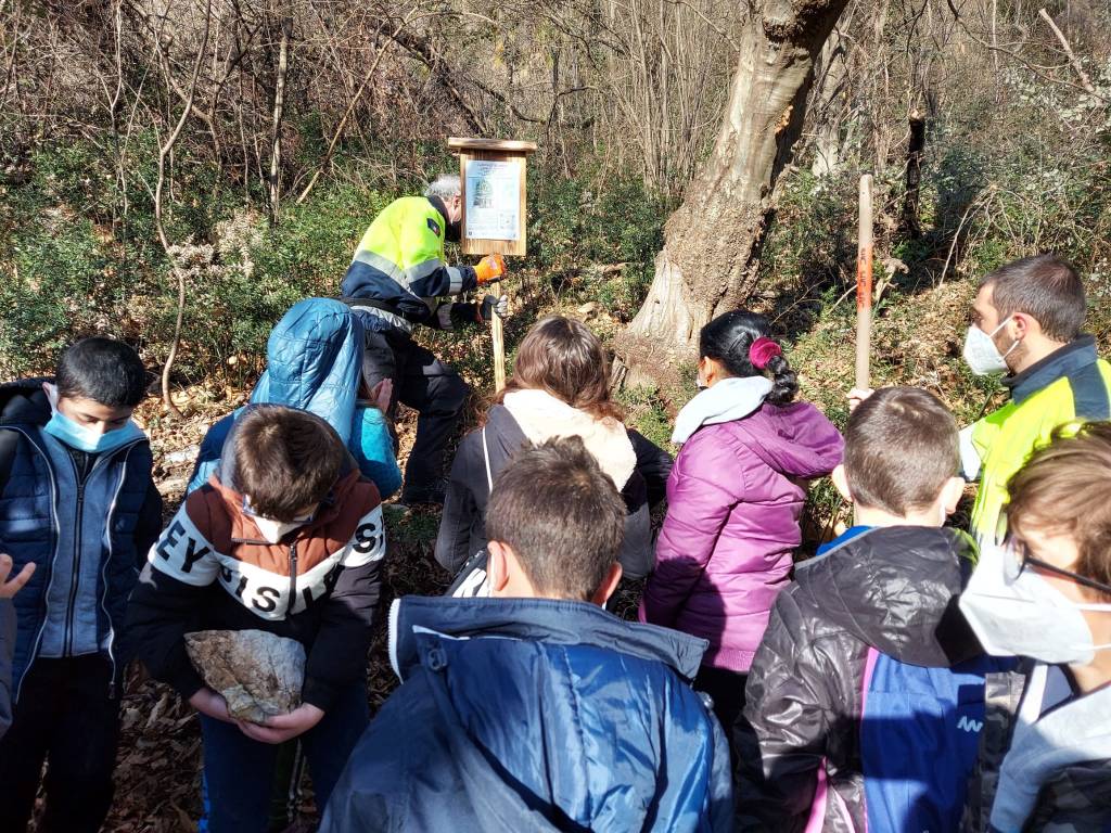 Caravate: inaugurato il sentiero del bosco didattico \"Pancott\"