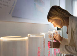 casa del profumo Santa Maria Maggiore