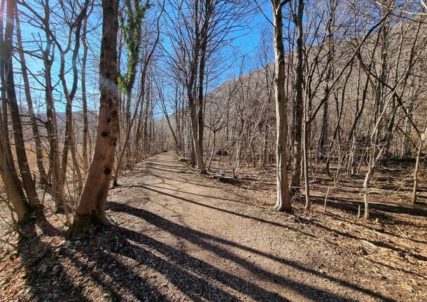 Ciclabile della Valganna: Il nuovo tratto termina pericolosamente sulla statale
