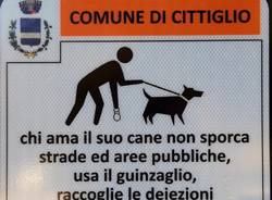 Cittiglio