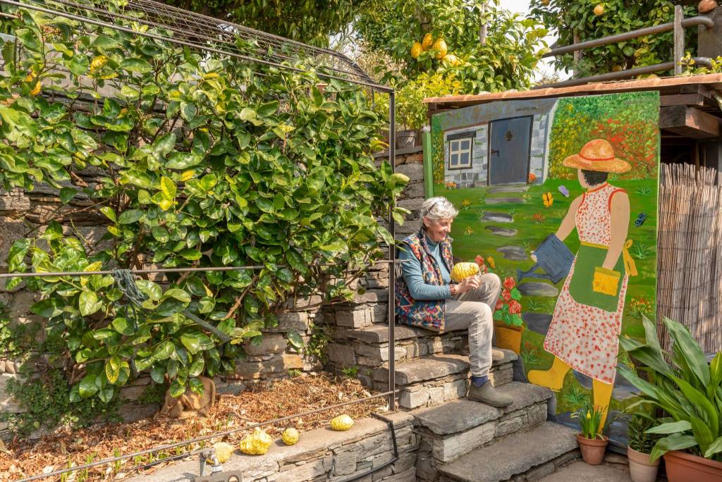 Gli agrumi di Cannero