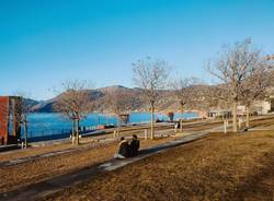 Momenti romantici sul lungolago a Luino