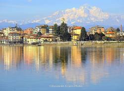 sesto calende - Riccardo frison