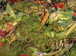 Spreco alimentare