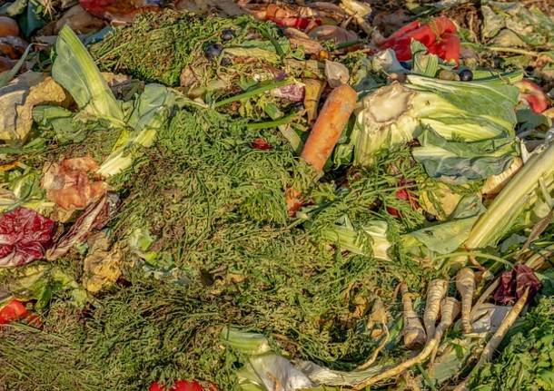 Spreco alimentare