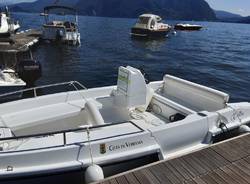 Verbania green