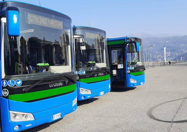 I sette nuovi autobus di Luino