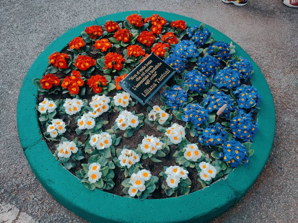 Il Liceo Sereni di Luino ricorda la professoressa Testoni