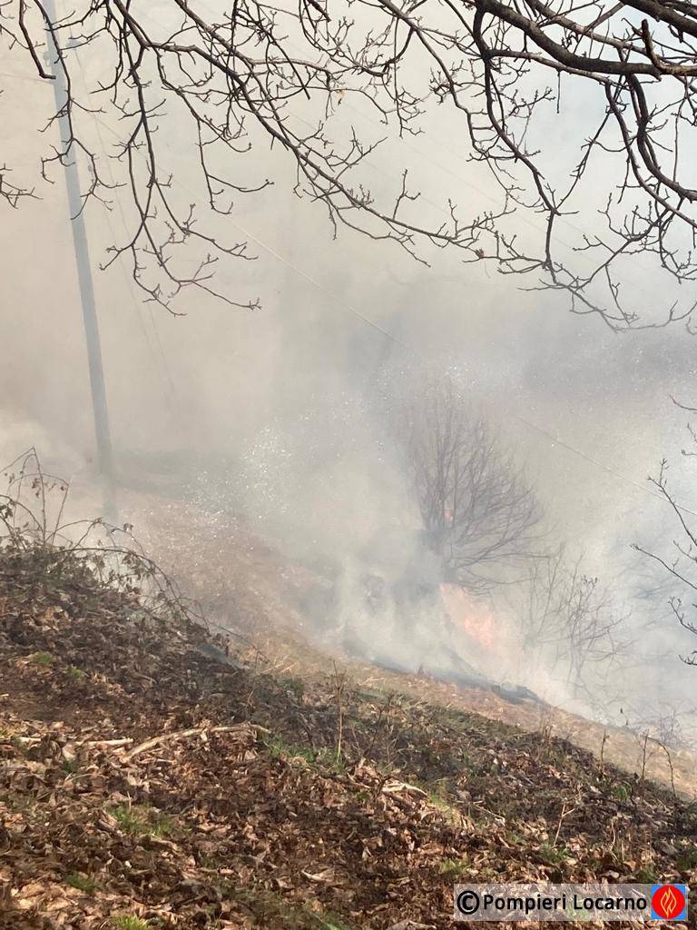 incendio bosco centovalli