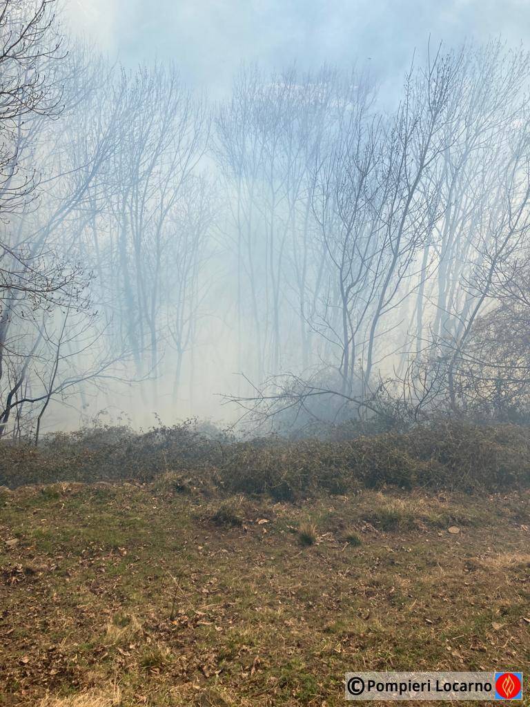 incendio bosco centovalli