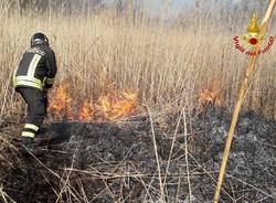 Incendio torbiera Laveno