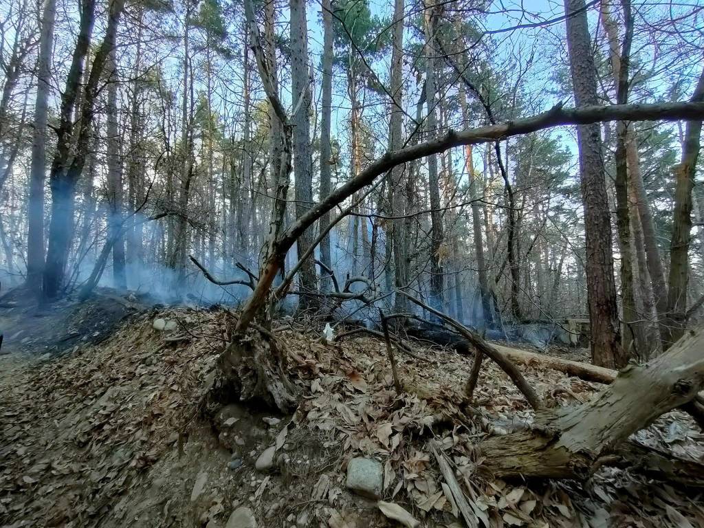 L'incendio nei boschi di Cuirone