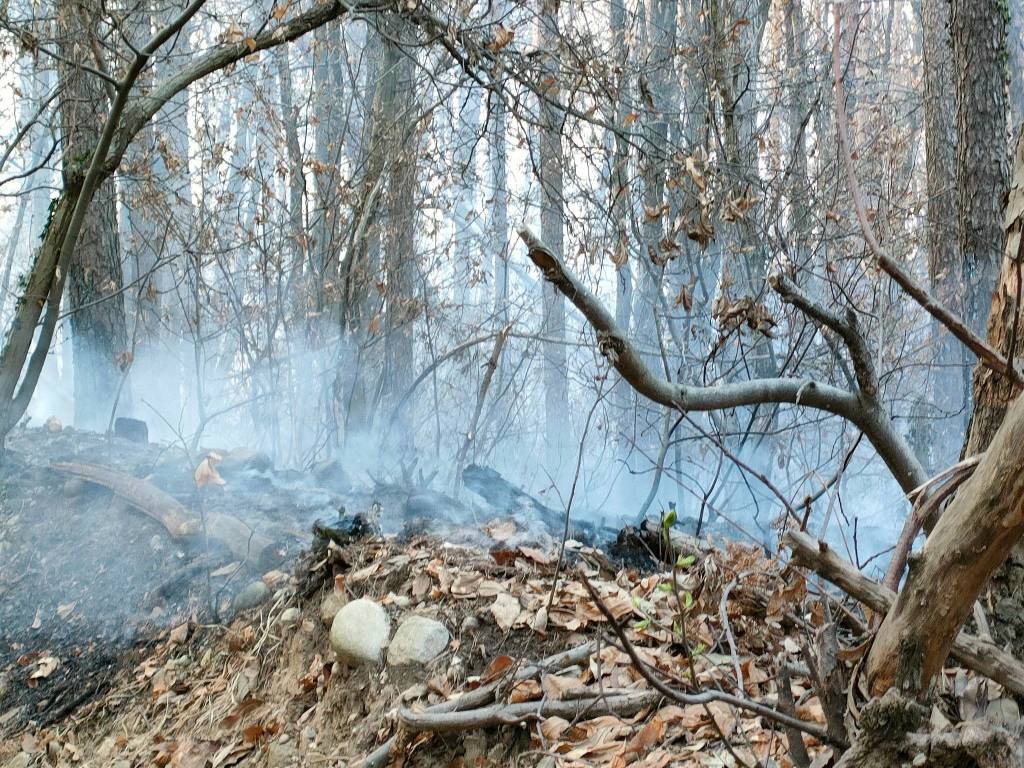 L'incendio nei boschi di Cuirone